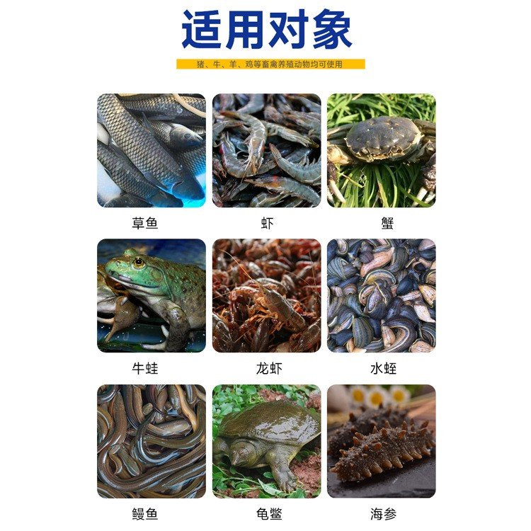 水产养殖专用多维(水产用多维起什么作用)