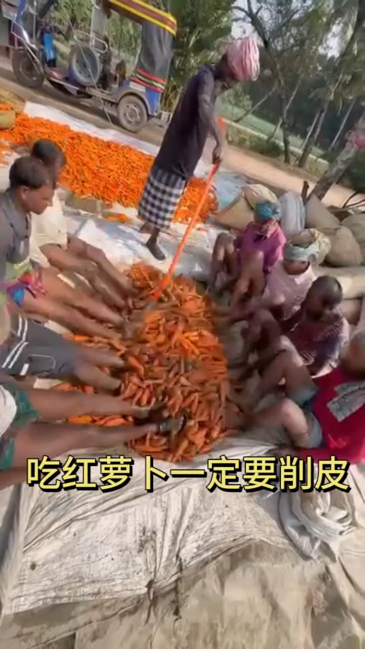 吃胡萝卜削皮好还是不削皮好(吃胡萝卜削皮好还是不削皮好呢)