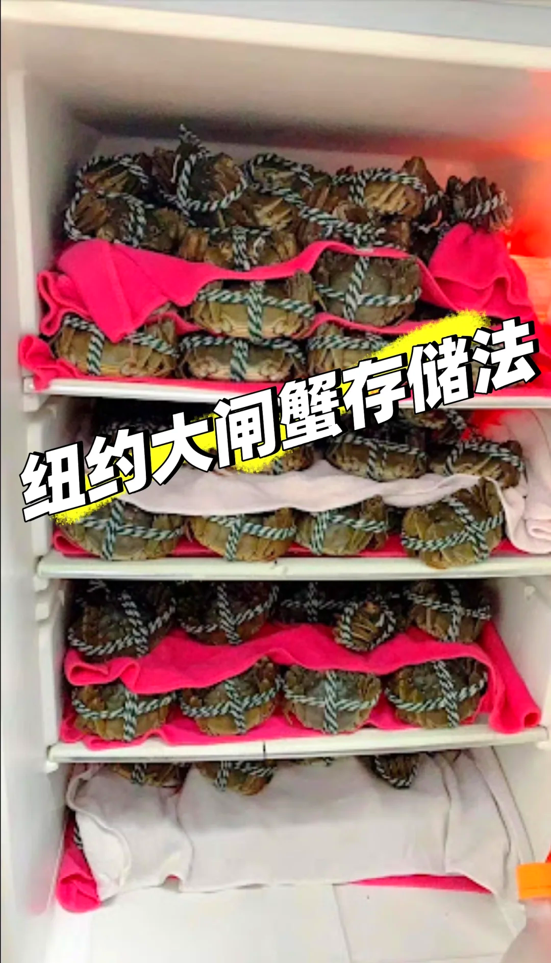 青蟹养殖方法(青蟹怎么养好?青蟹养殖技术介绍)