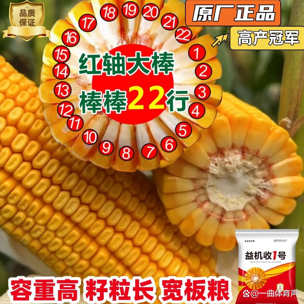 9901玉米种子(9901玉米种子多少钱一袋)