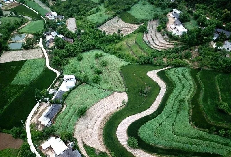 成县新农村建设(新农村建设办公室电话)