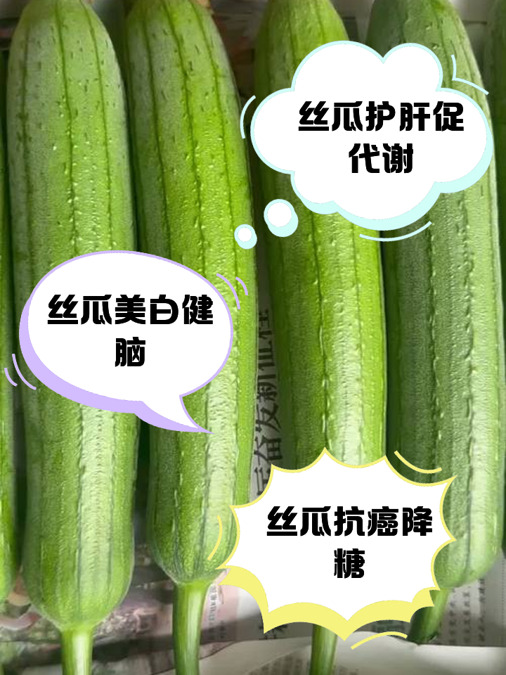 丝瓜有化痰的作用吗(丝瓜有化痰的作用吗能吃吗)