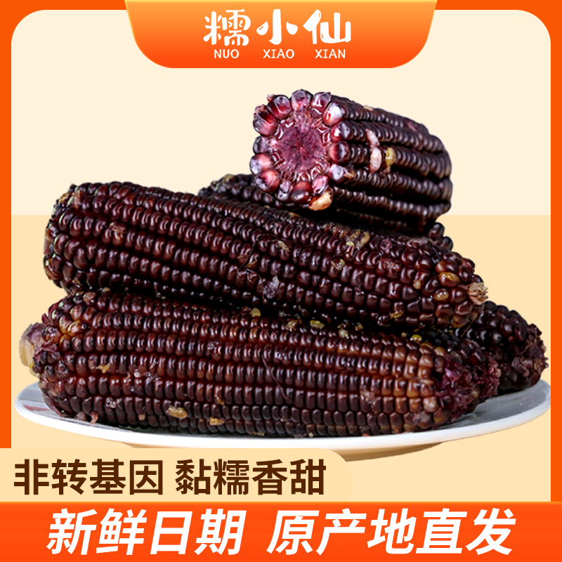 转基因玉米是甜玉米吗(转基因的玉米是什么样的?)