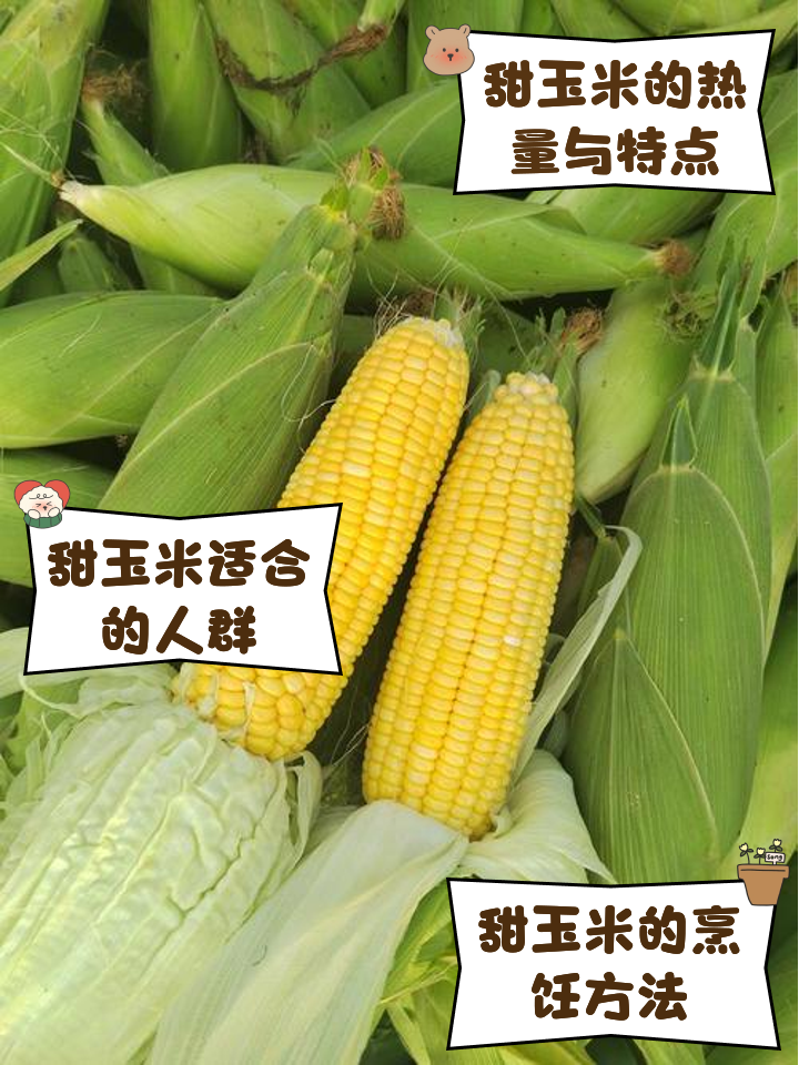 玉米杆甜吗(玉米杆可以吃吗甜吗)