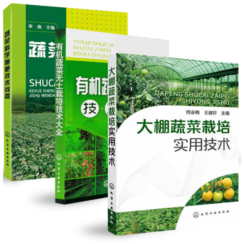 有机蔬菜大棚种植技术(有机蔬菜大棚的构建及种植)
