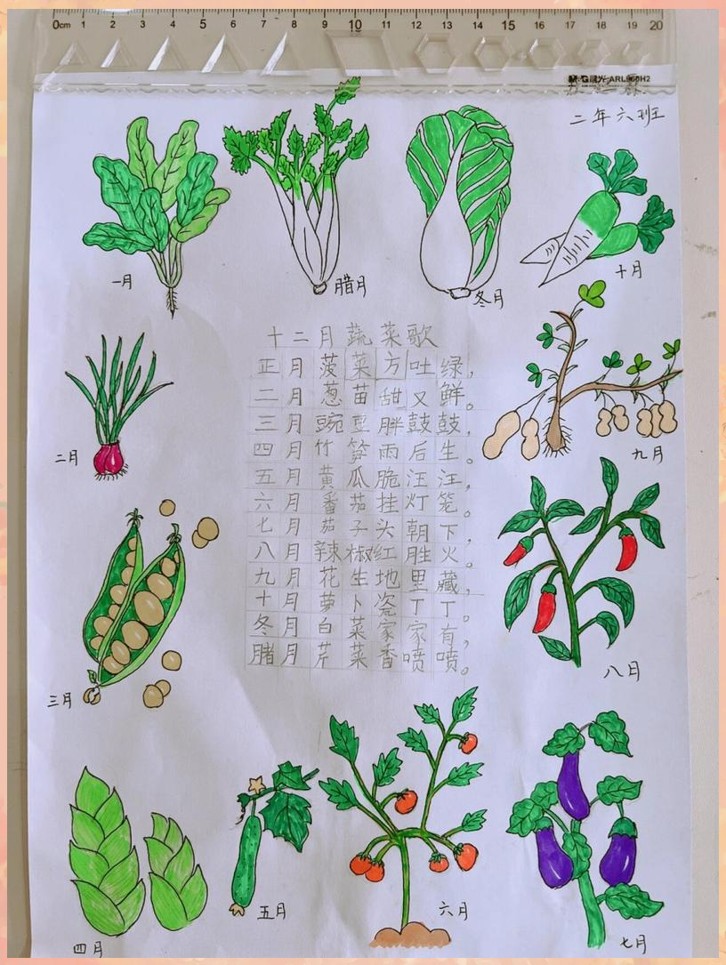 如何种植无公害蔬菜(如何种植无公害蔬菜呢)