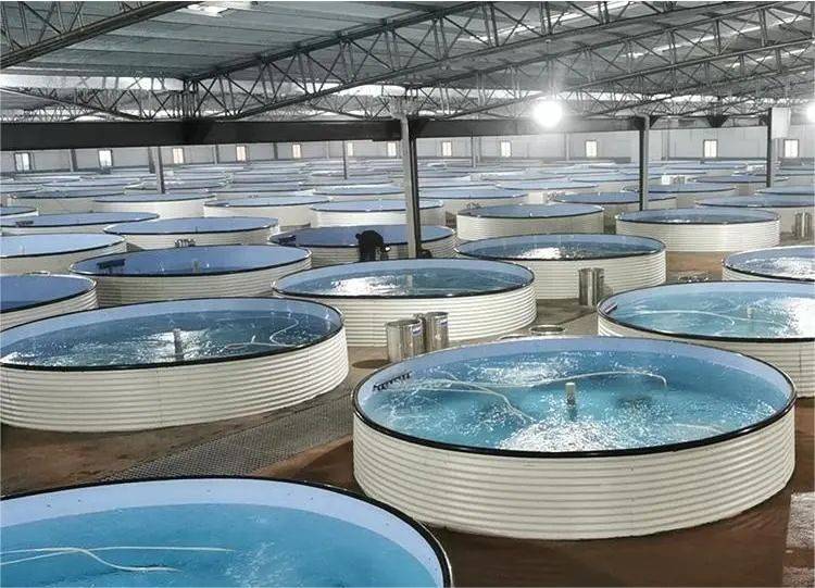 健康生态水产养殖(水产生态养殖的两大技术包括)