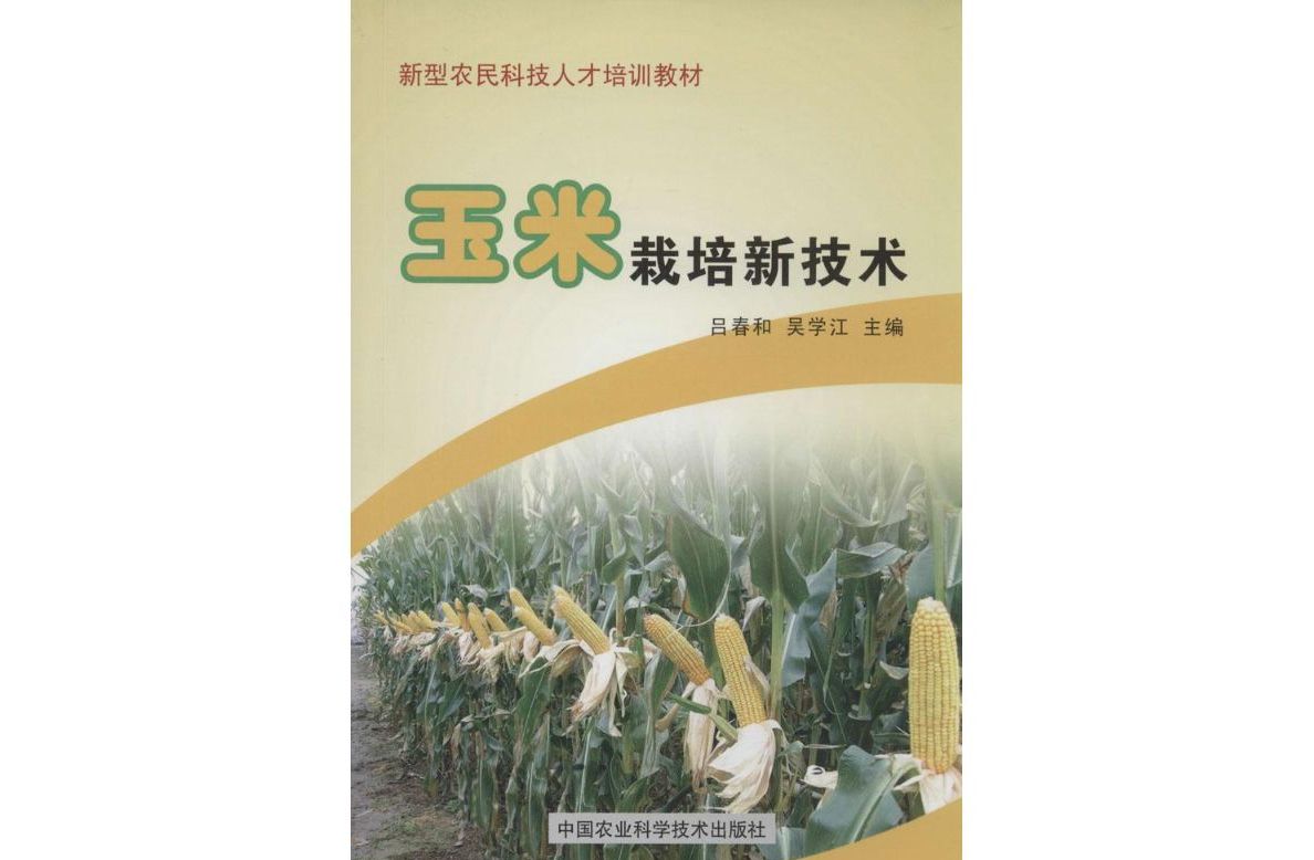 玉米的栽培技术有哪些(玉米的栽培技术要点有哪些)