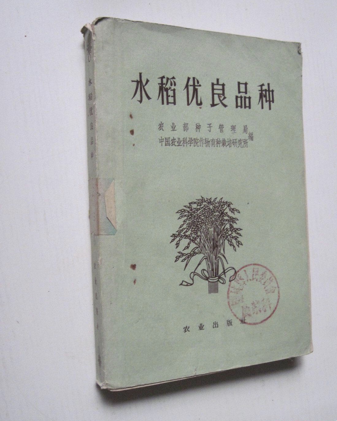 丰华占水稻品种简介(丰华种业000713)