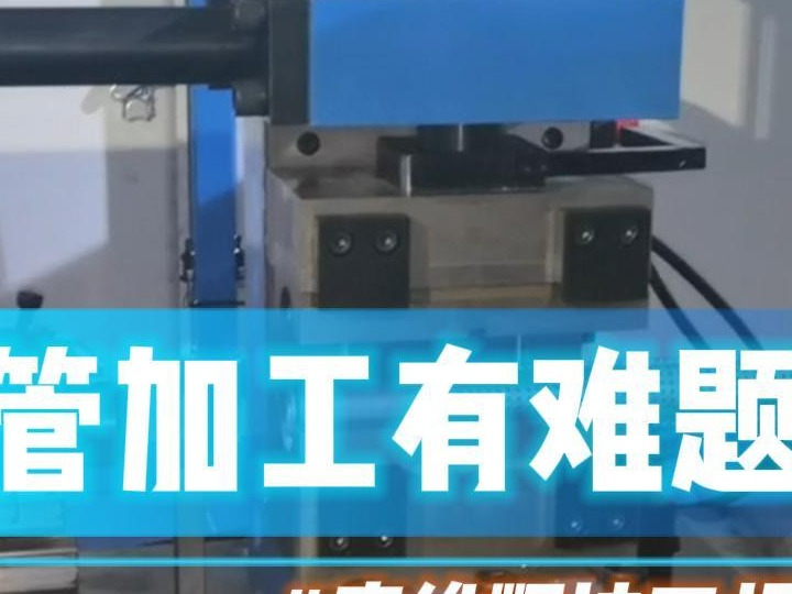 加工有哪些(植物蛋白深加工有哪些)