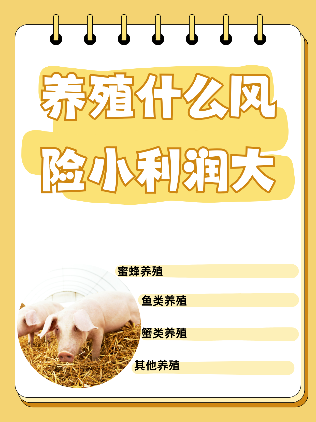 蜜蜂养殖技术(中华蜜蜂养殖技术)
