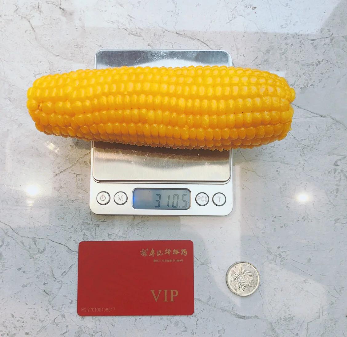 糯玉米在温度多少度可以种植(糯玉米在温度多少度可以种植呢)
