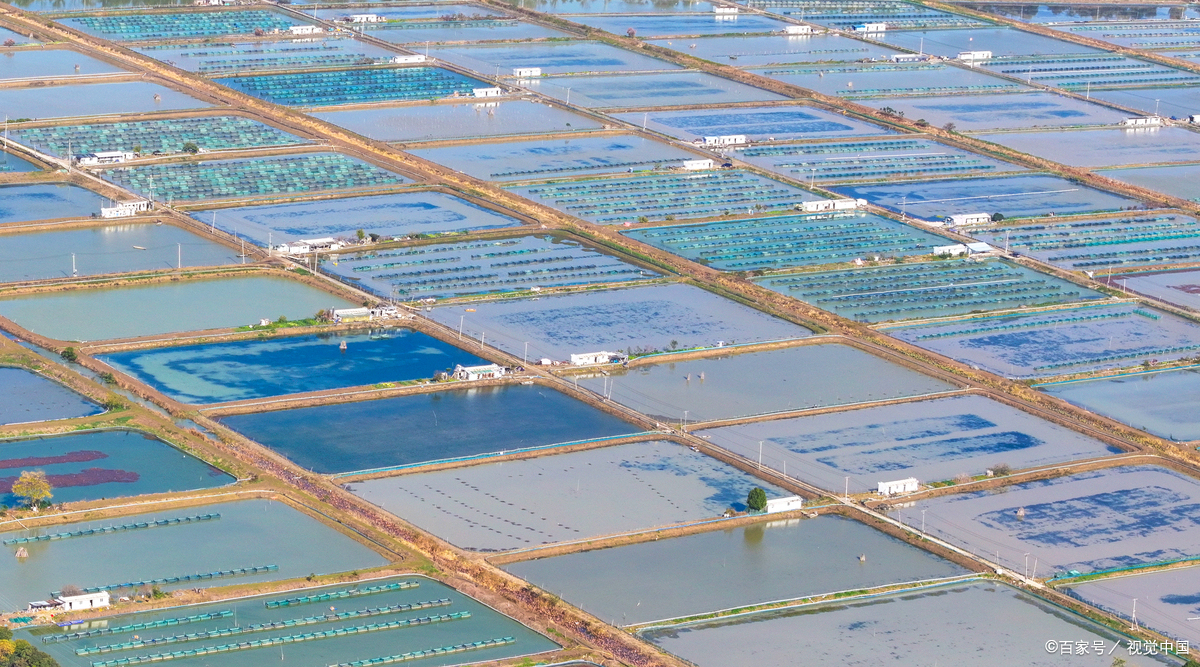 现代水产养殖技术(现代水产养殖新模式)