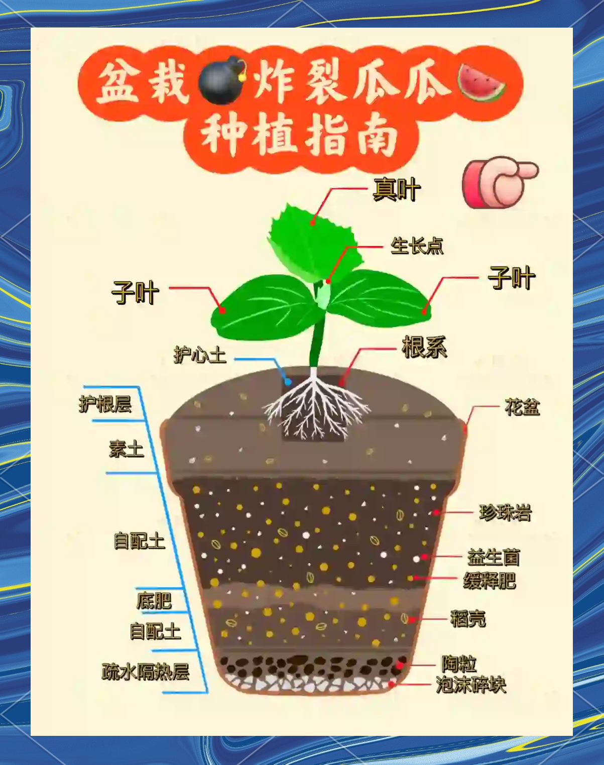 西瓜种子要怎么种(西瓜种子怎么种植方法)