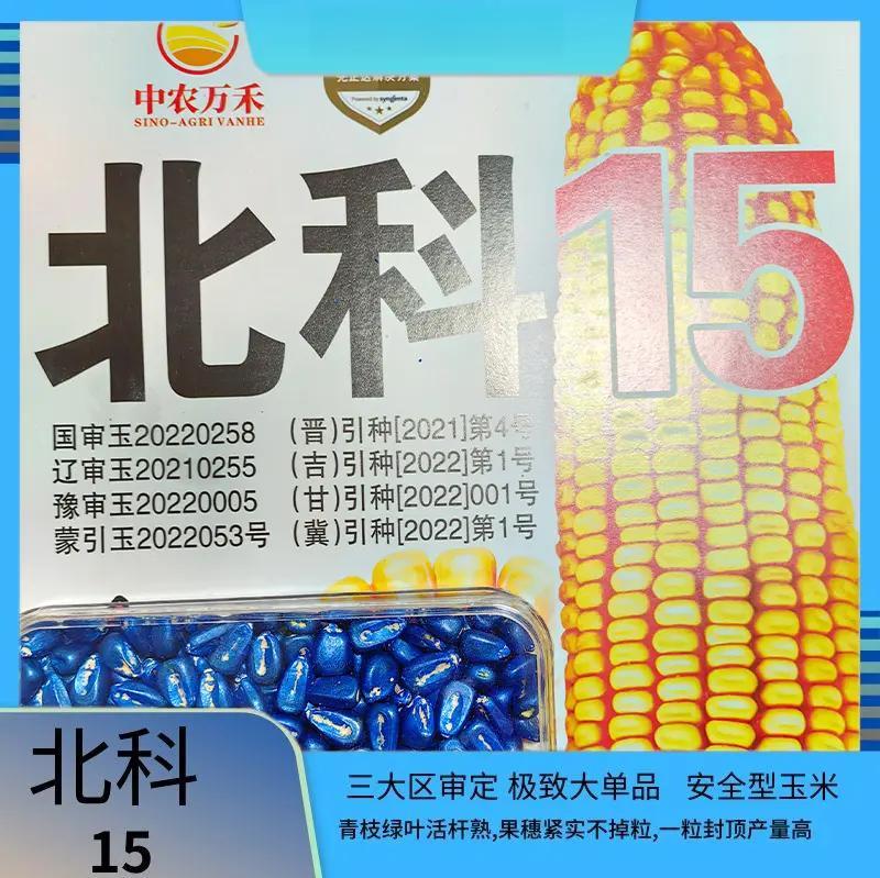 包含mc708玉米种子详细介绍的词条