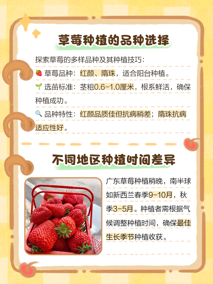 草莓种植气候(草莓种植环境温度)