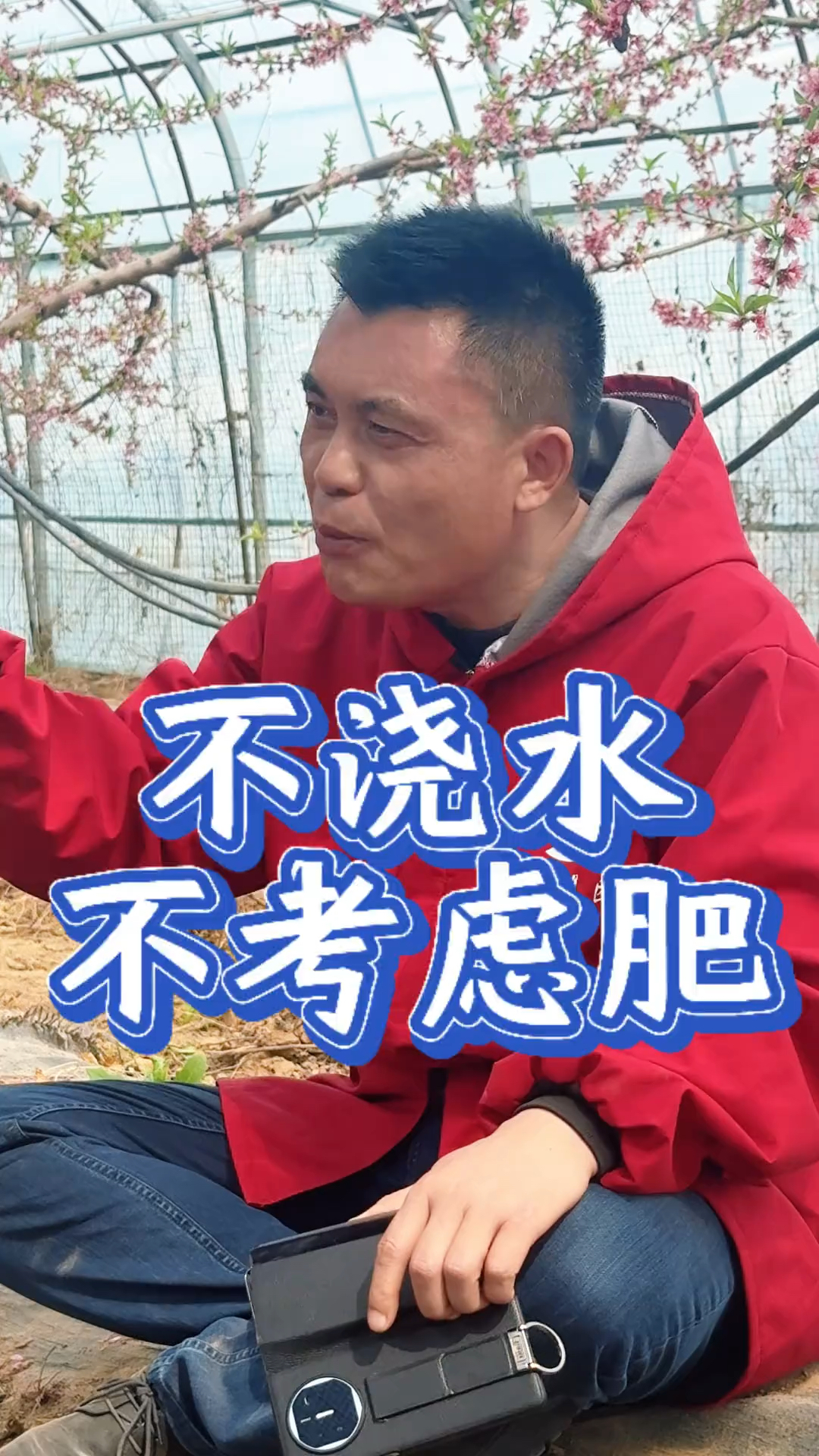 果树追肥(果树追肥用什么肥料)