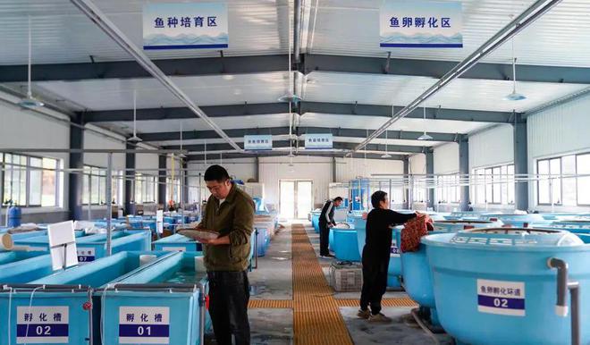 水产养殖塘(水产养殖塘所用增氧泵的电源线)