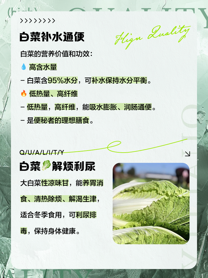 白菜的功效作用与主治(白菜的功效作用与主治与用量)