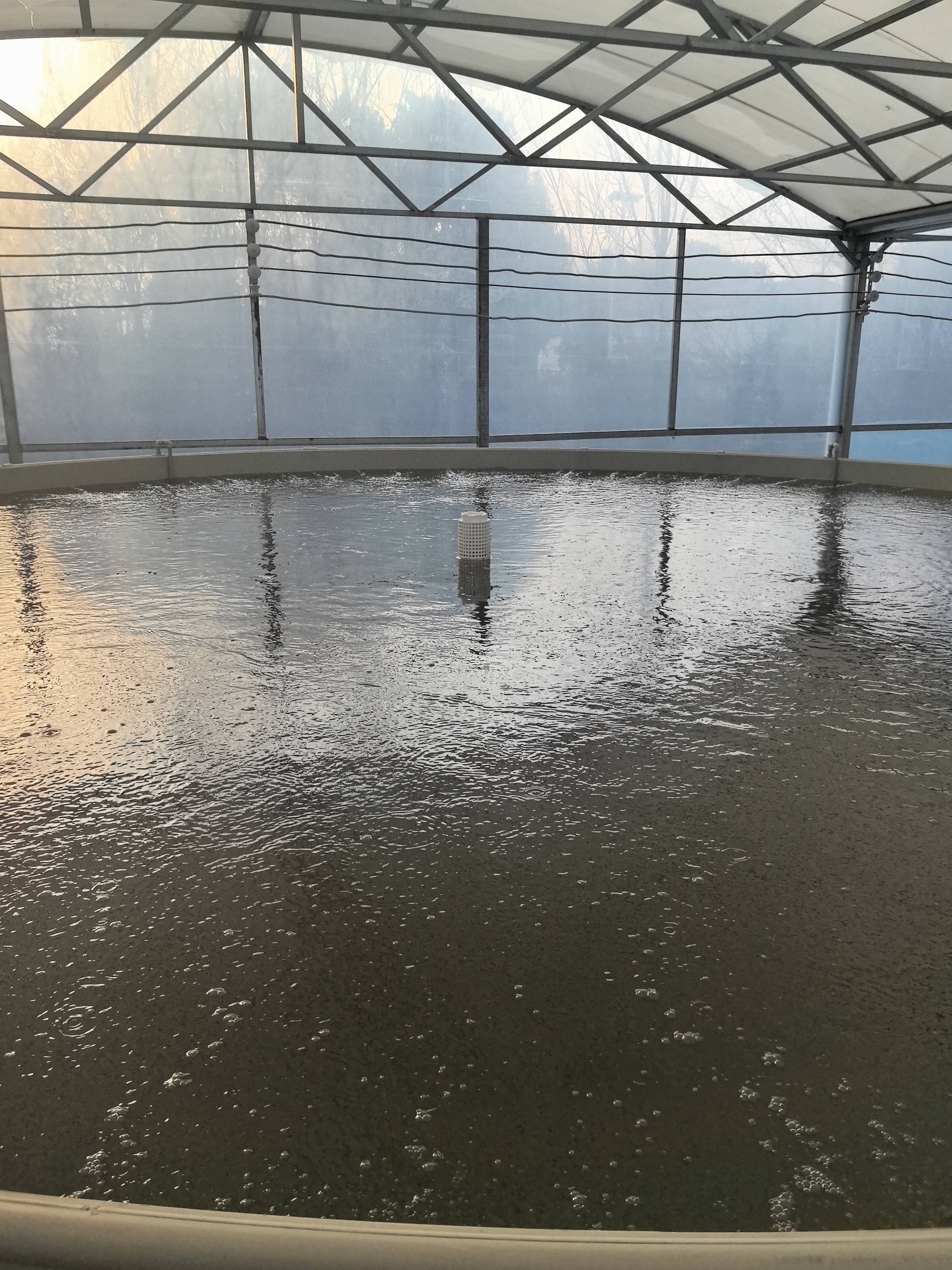 水产养殖水循环(水产养殖水循环设备)