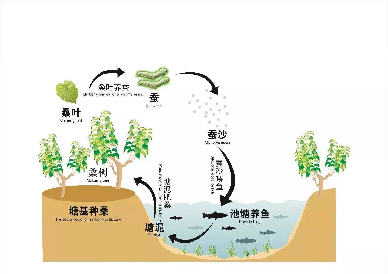 水产养殖水循环(水产养殖水循环设备)