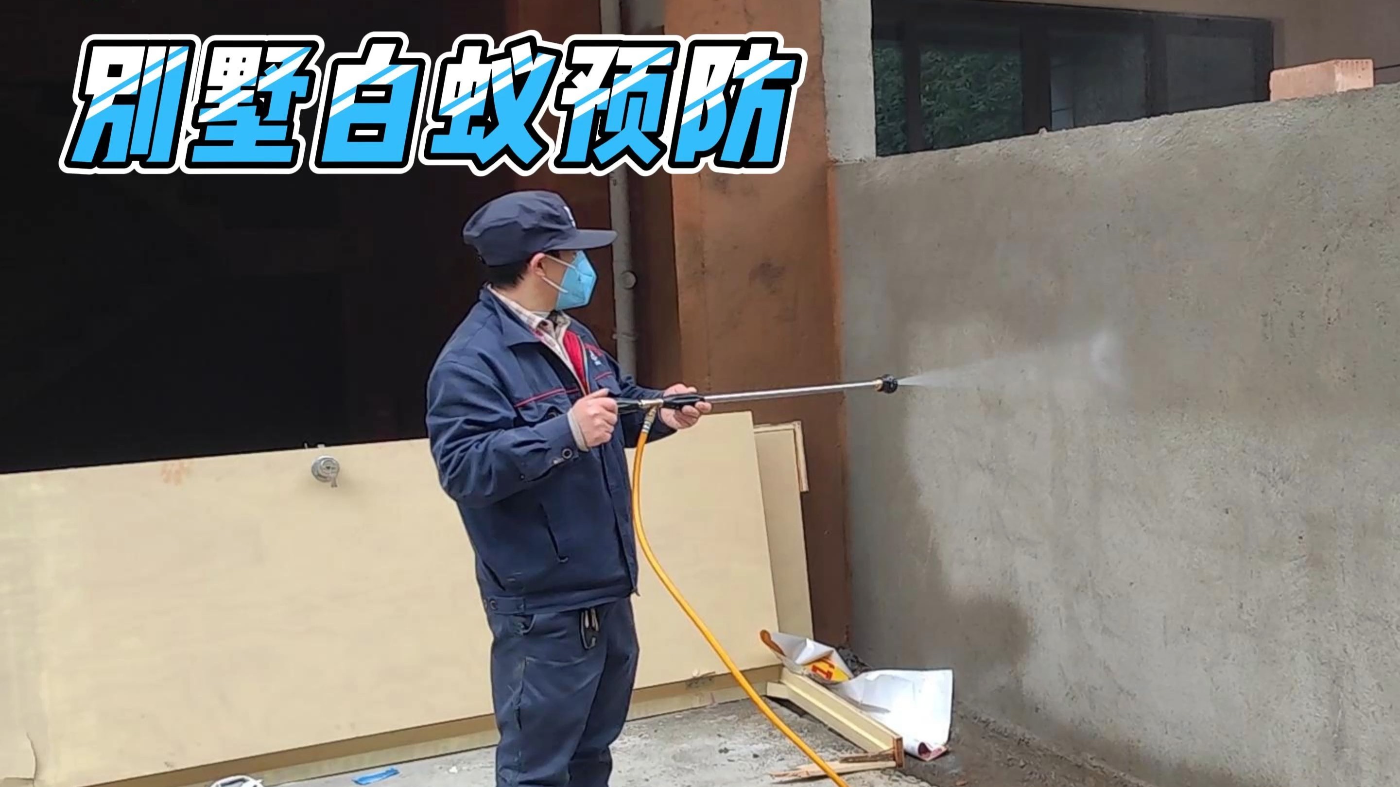 杀虫灭白蚁电话(灭白蚁公司白蚁防治公司)