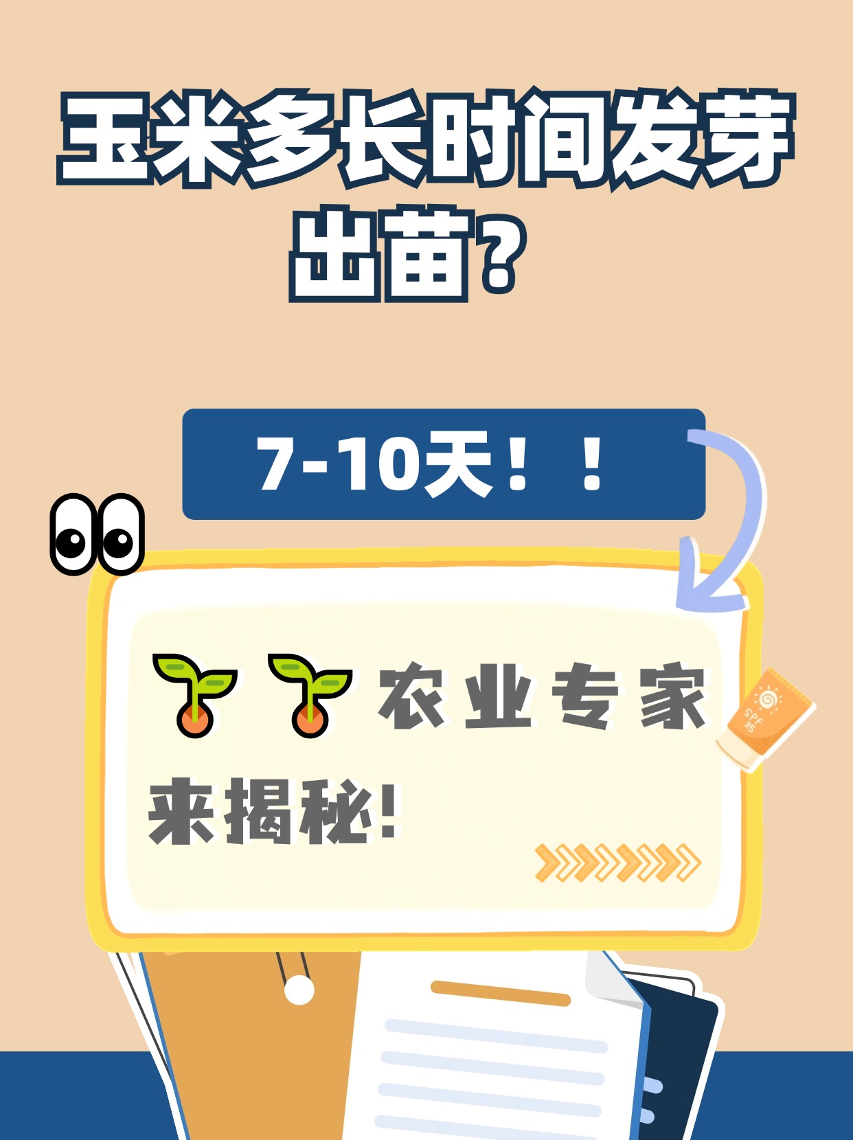 玉米多久播种(玉米播种多少天成熟)