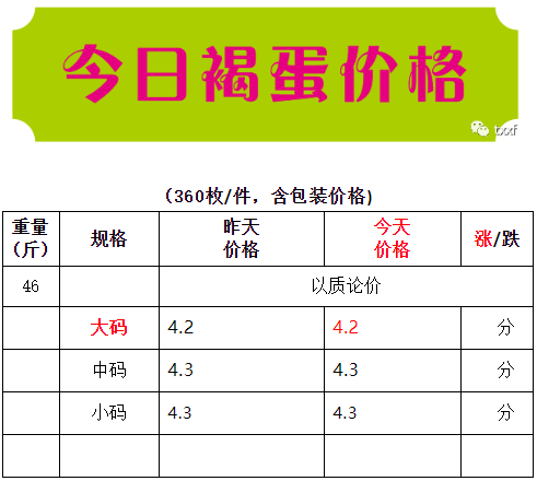 蛋鸡养殖行情(蛋鸡养殖行情走势)