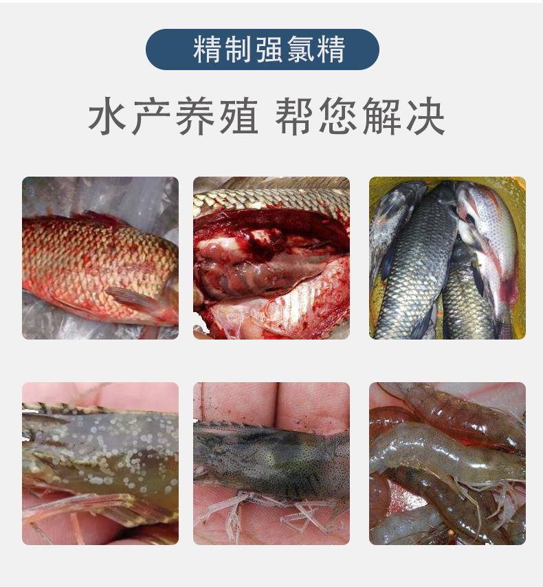 水产养殖用什么激素(水产养殖用什么激素好)
