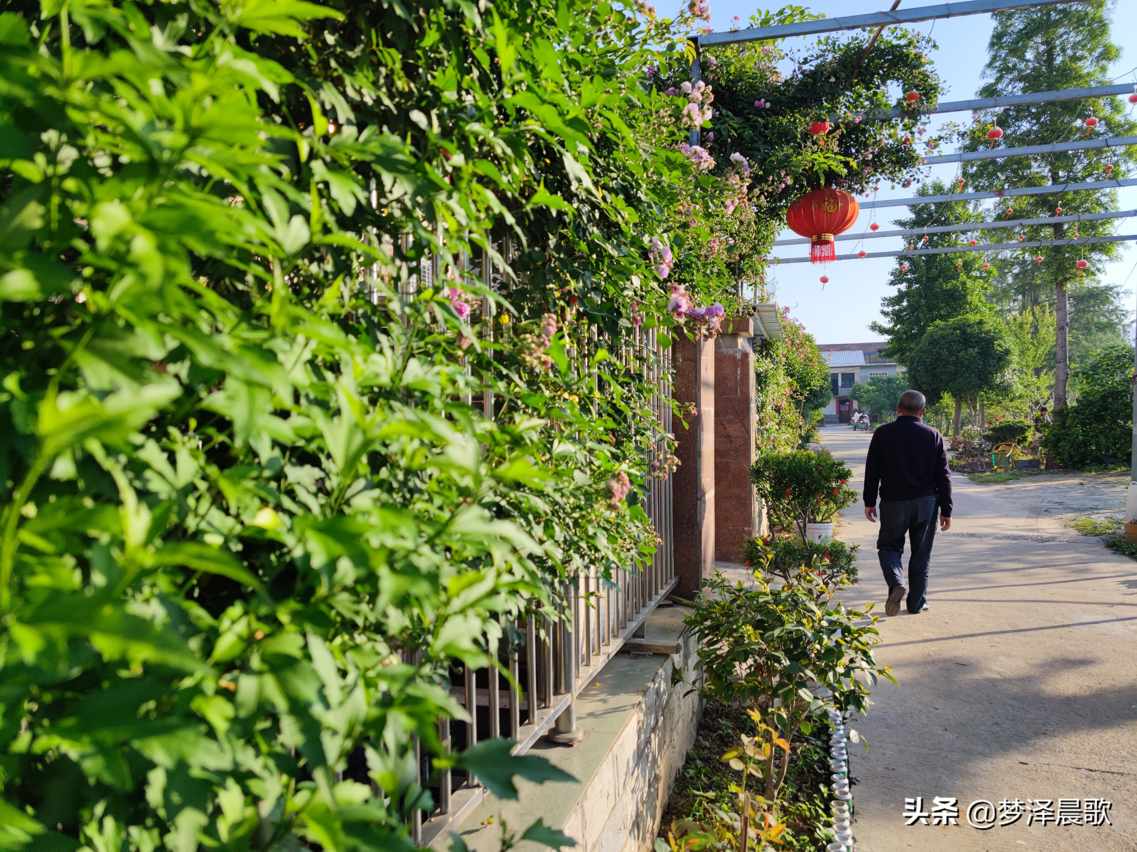 农村村道建设标准(村道建设标准是多少米)