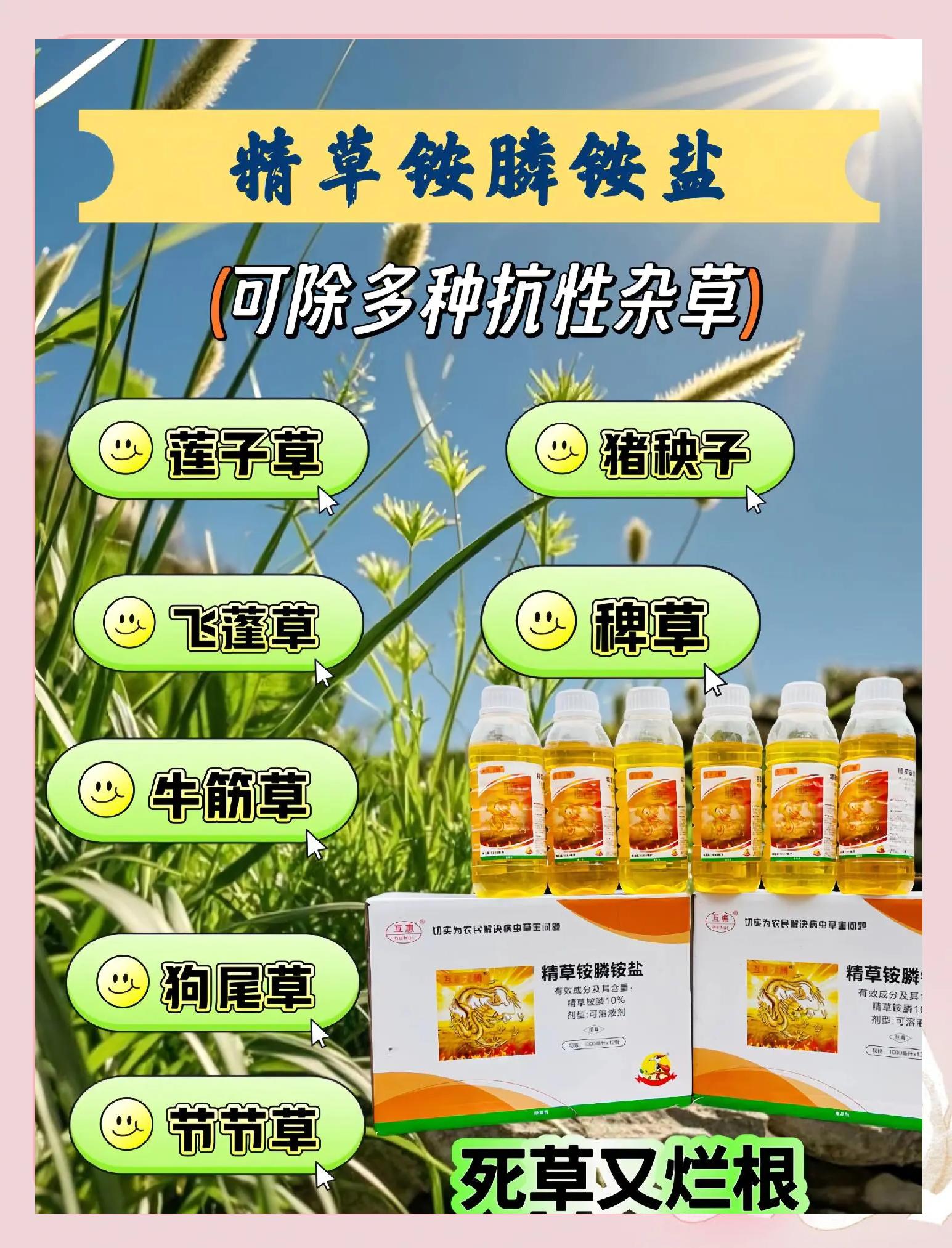 怎样的除草(怎样除草效果快又好)