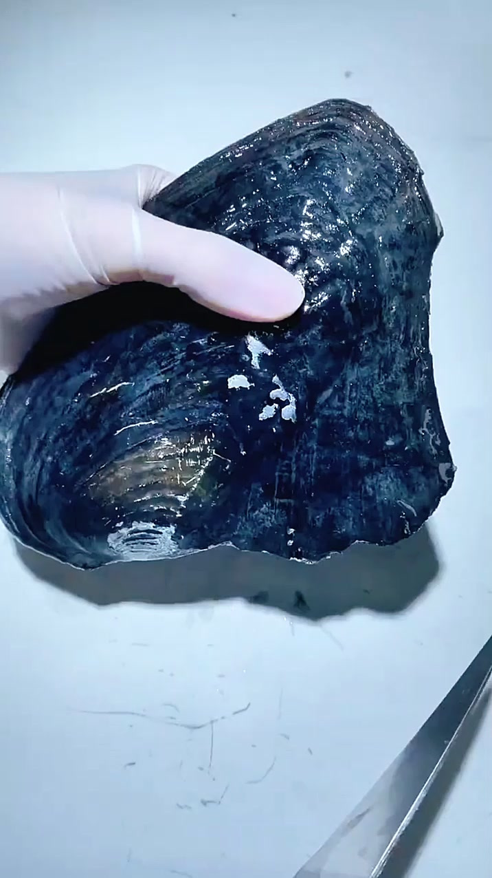 淡水珍珠养殖技术流程(淡水珍珠和养殖珍珠的区别)