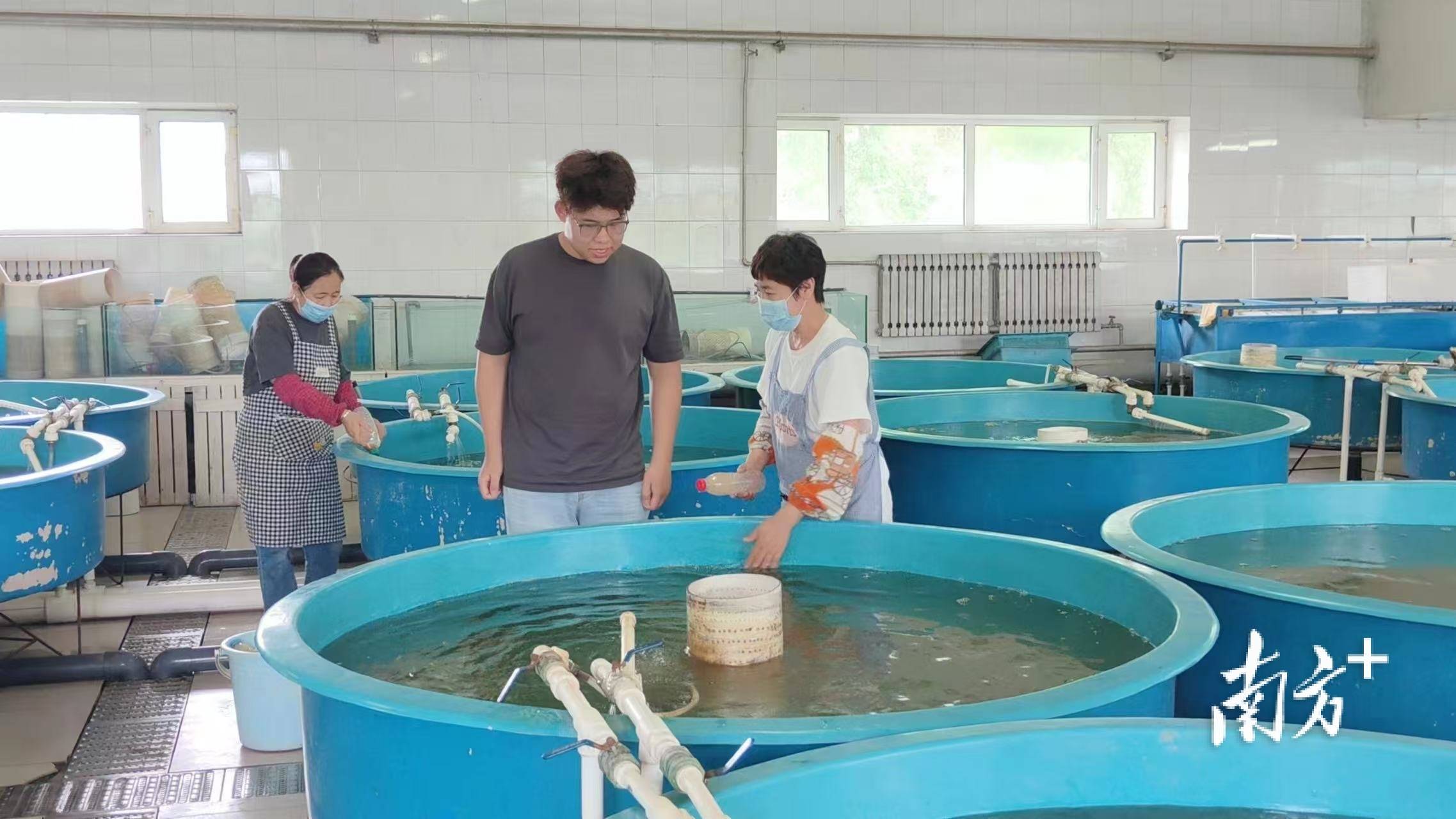 东莞水产养殖(东莞水产养殖公司)