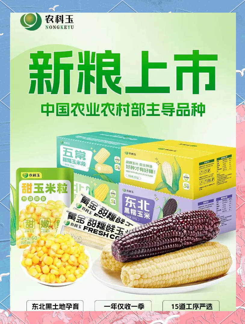 敬禾22玉米种简介(敬禾22玉米种简介特征)