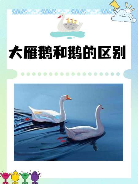 大雁的养殖技术(大雁的养殖技术视频)