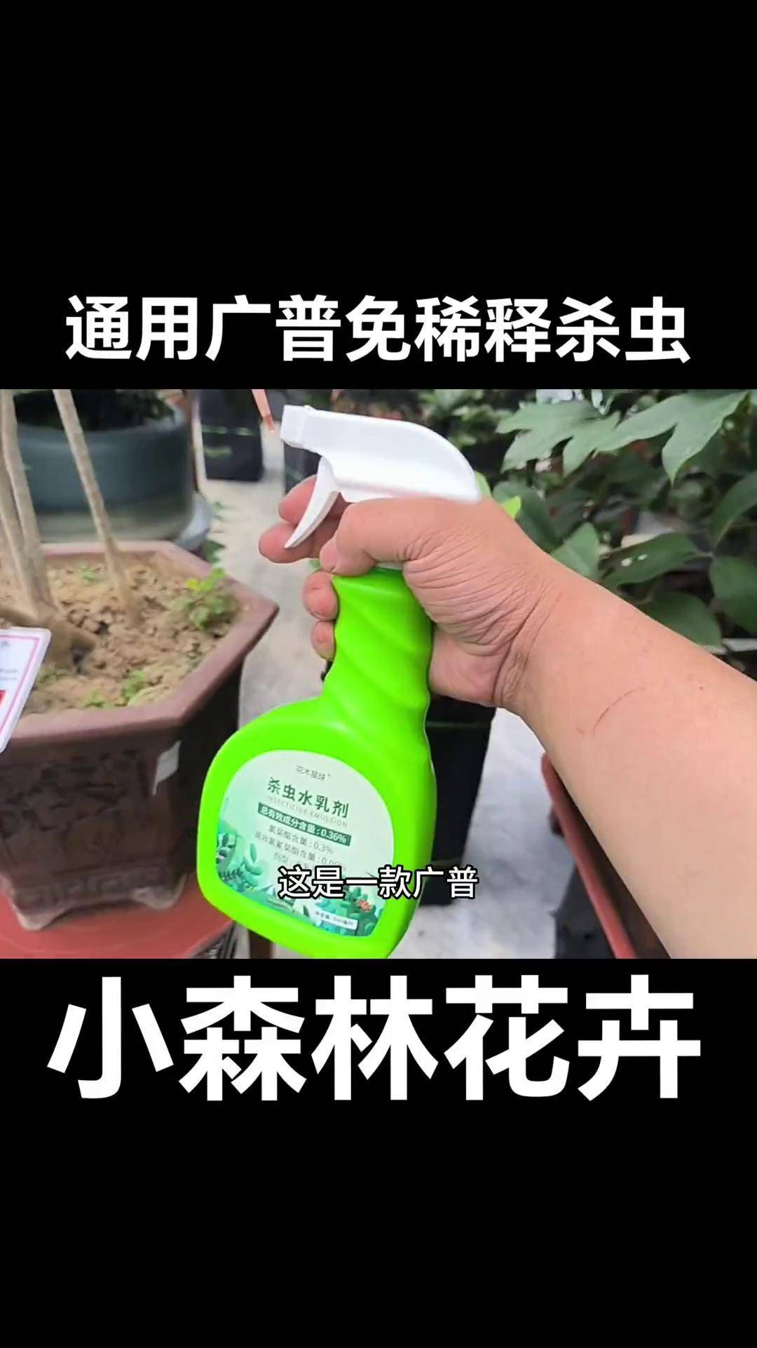 家庭杀虫养花剂(家庭杀虫养花剂有哪些)