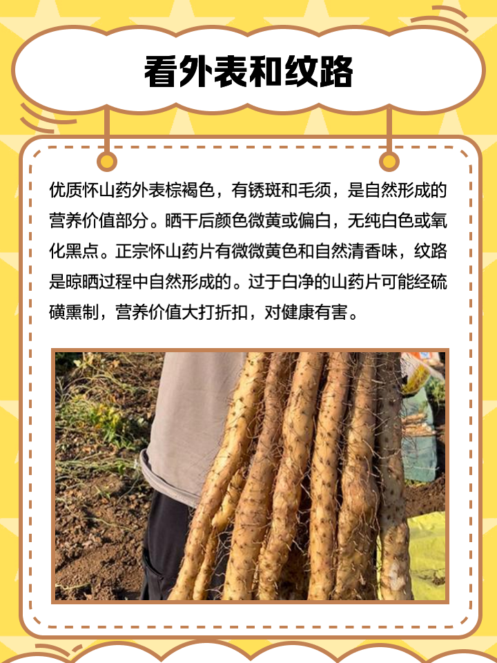 哪种山药产量高(哪种山药产量高又好吃)