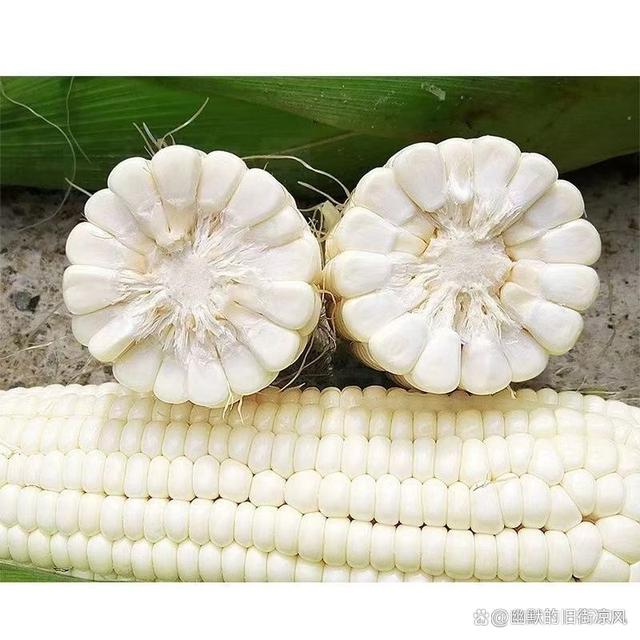 万农甜糯玉米(万农甜糯158的玉米种子是什么颜色的?)