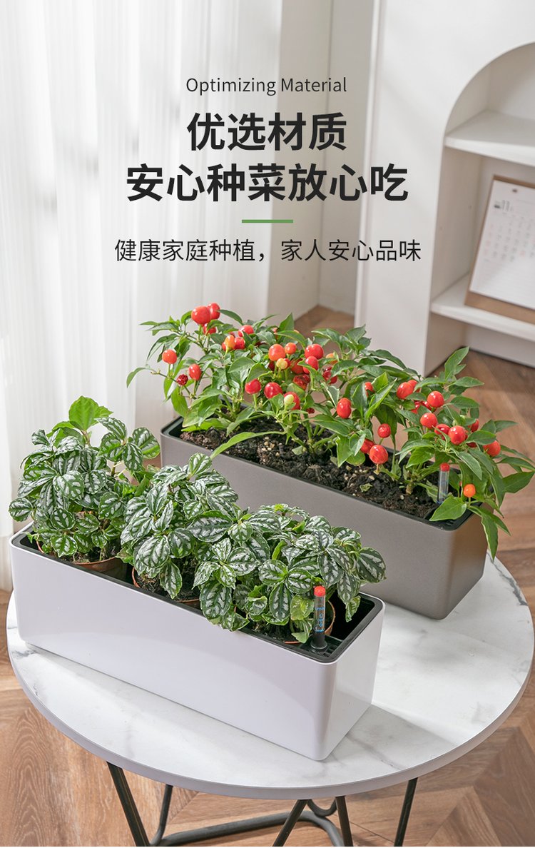 长方形的种植物(长方形的种植物是什么)