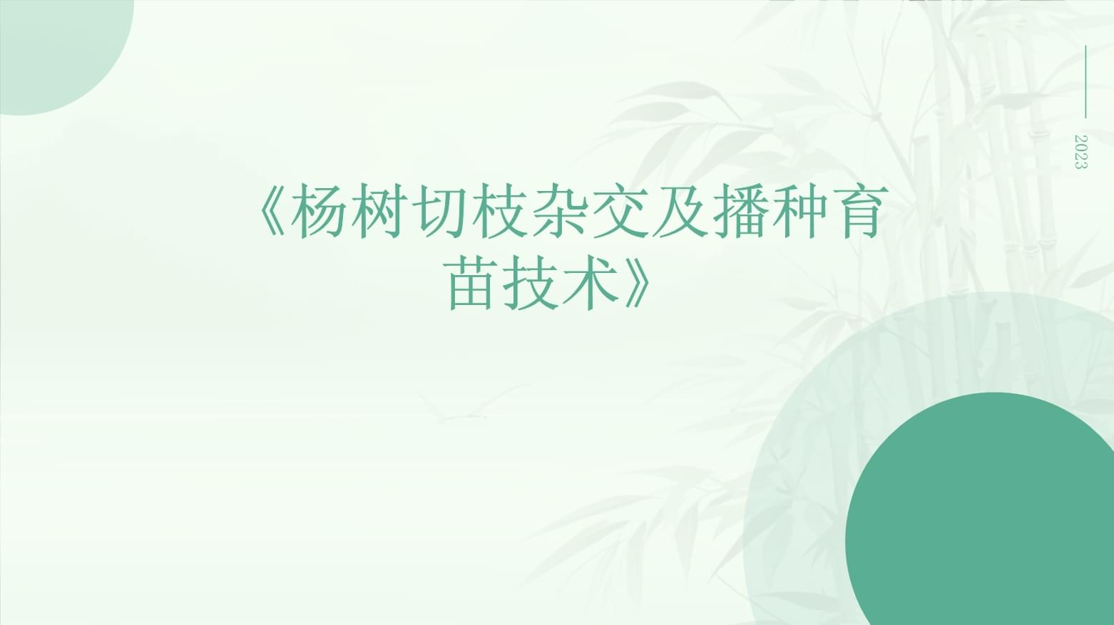 杨树育苗方法(杨树育苗方法有哪些)