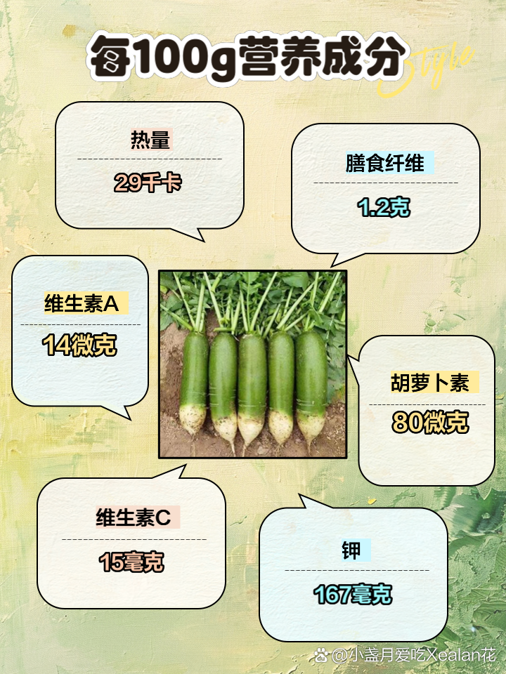 水果萝卜的种植方法和步骤(水果萝卜的种植方法和步骤视频)