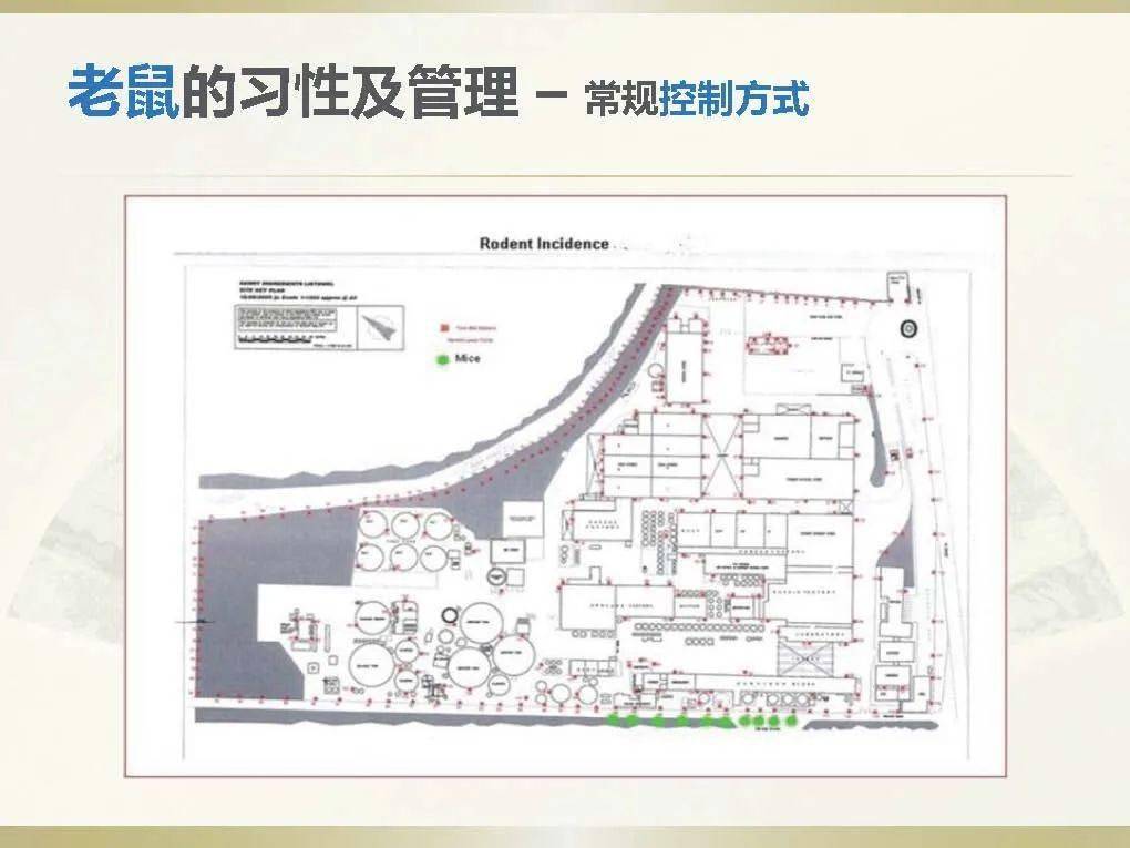 综合虫害管理(综合虫害管理基本原则)
