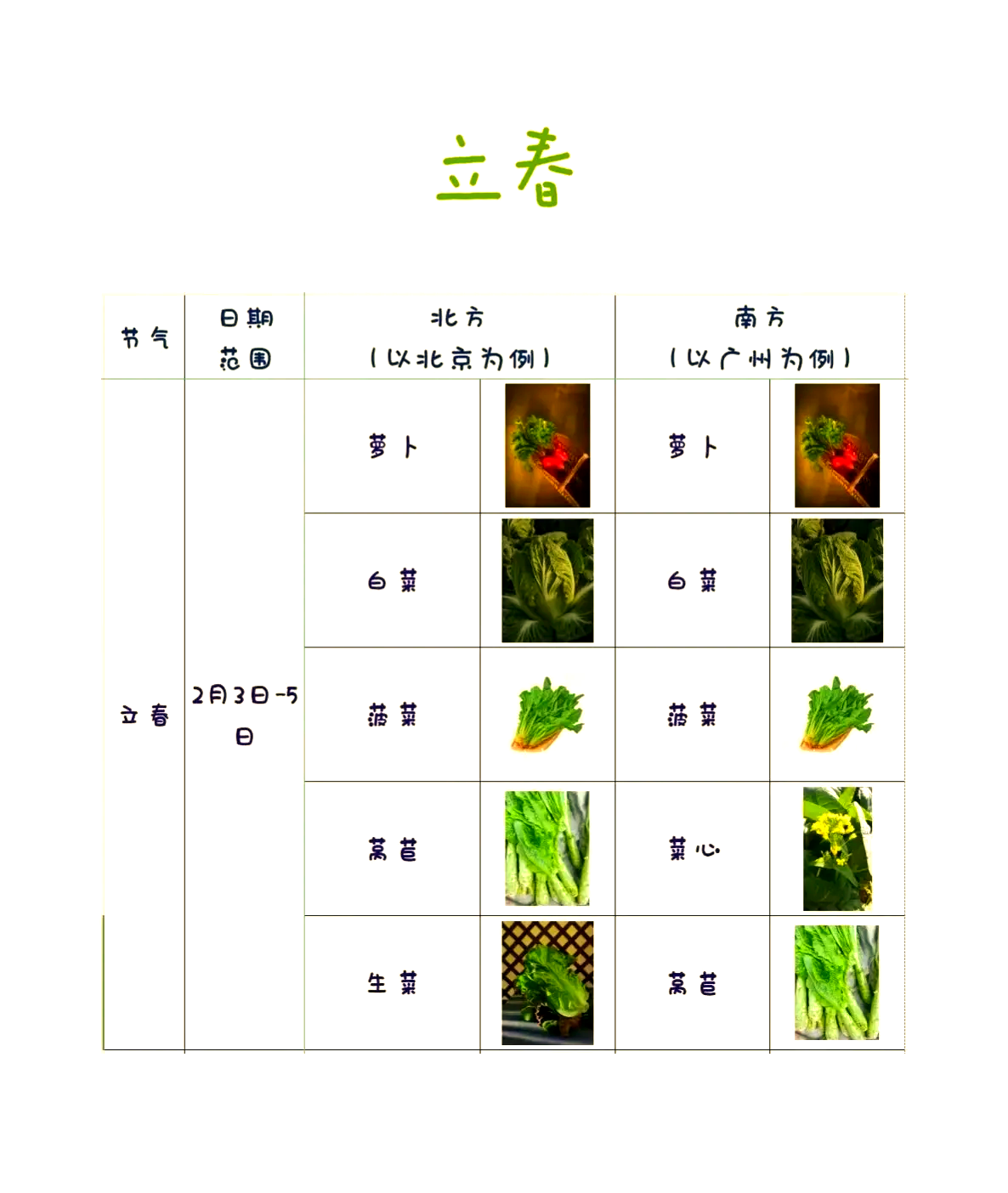 北京白萝卜种植时间(北京什么时间种萝卜白菜)