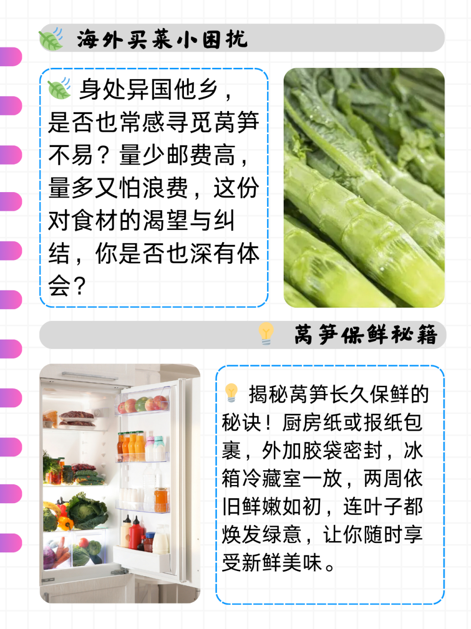 如何保存莴笋(如何保存莴笋叶的腌菜?)