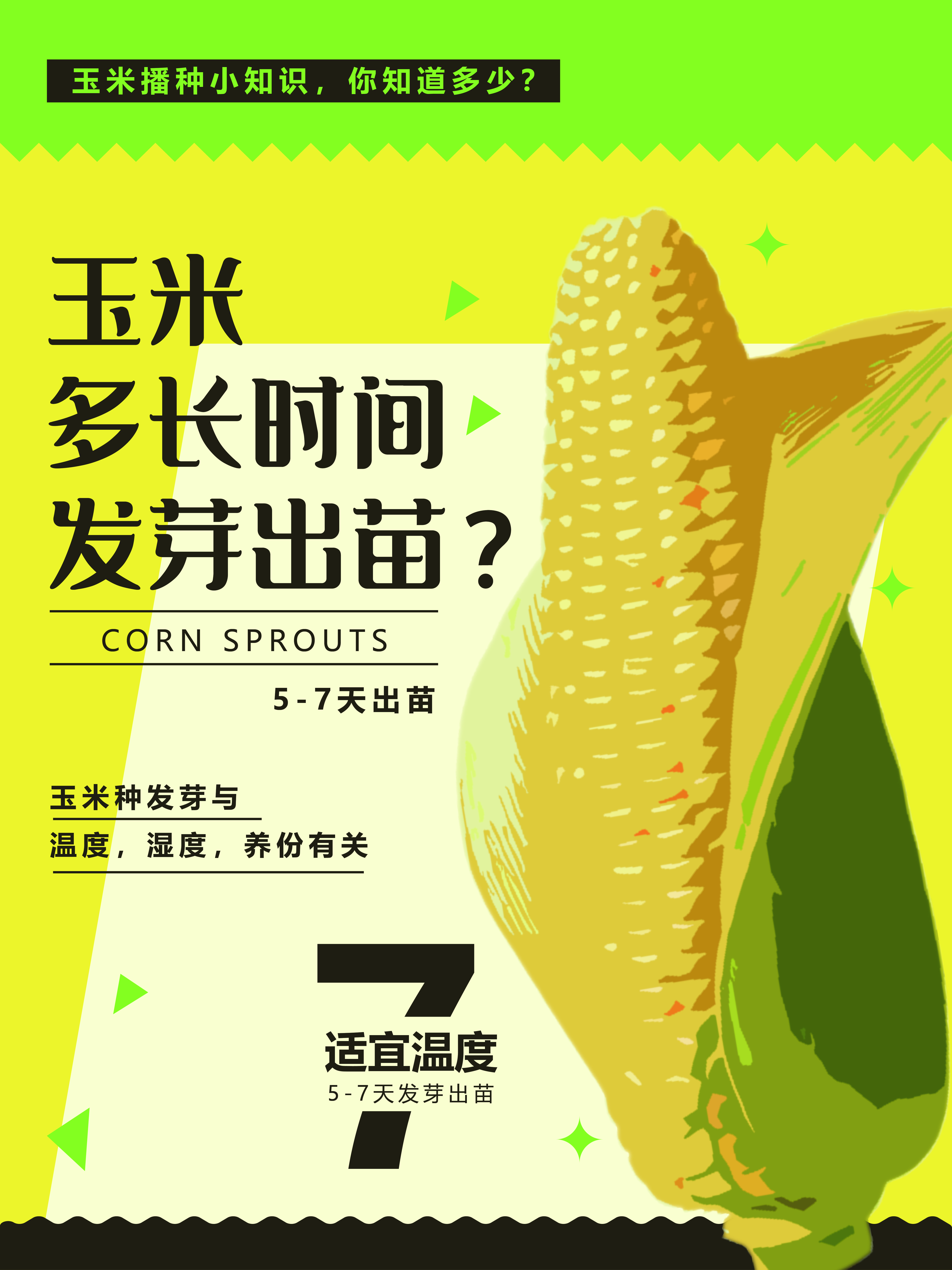 玉米种植的适宜温度(玉米的种植的温度)