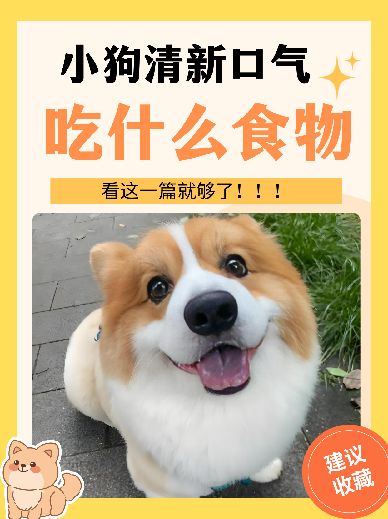 胡萝卜是泄气的吗(胡萝卜是泄气的吗能吃吗)