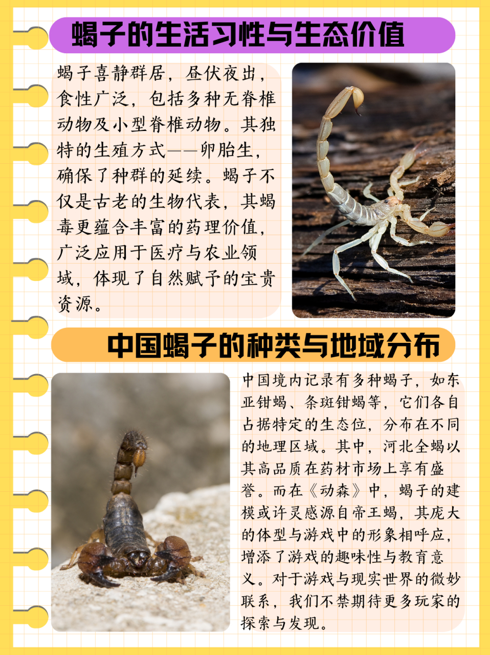关于蝎子养殖技术(蝎子养殖技术完整版)