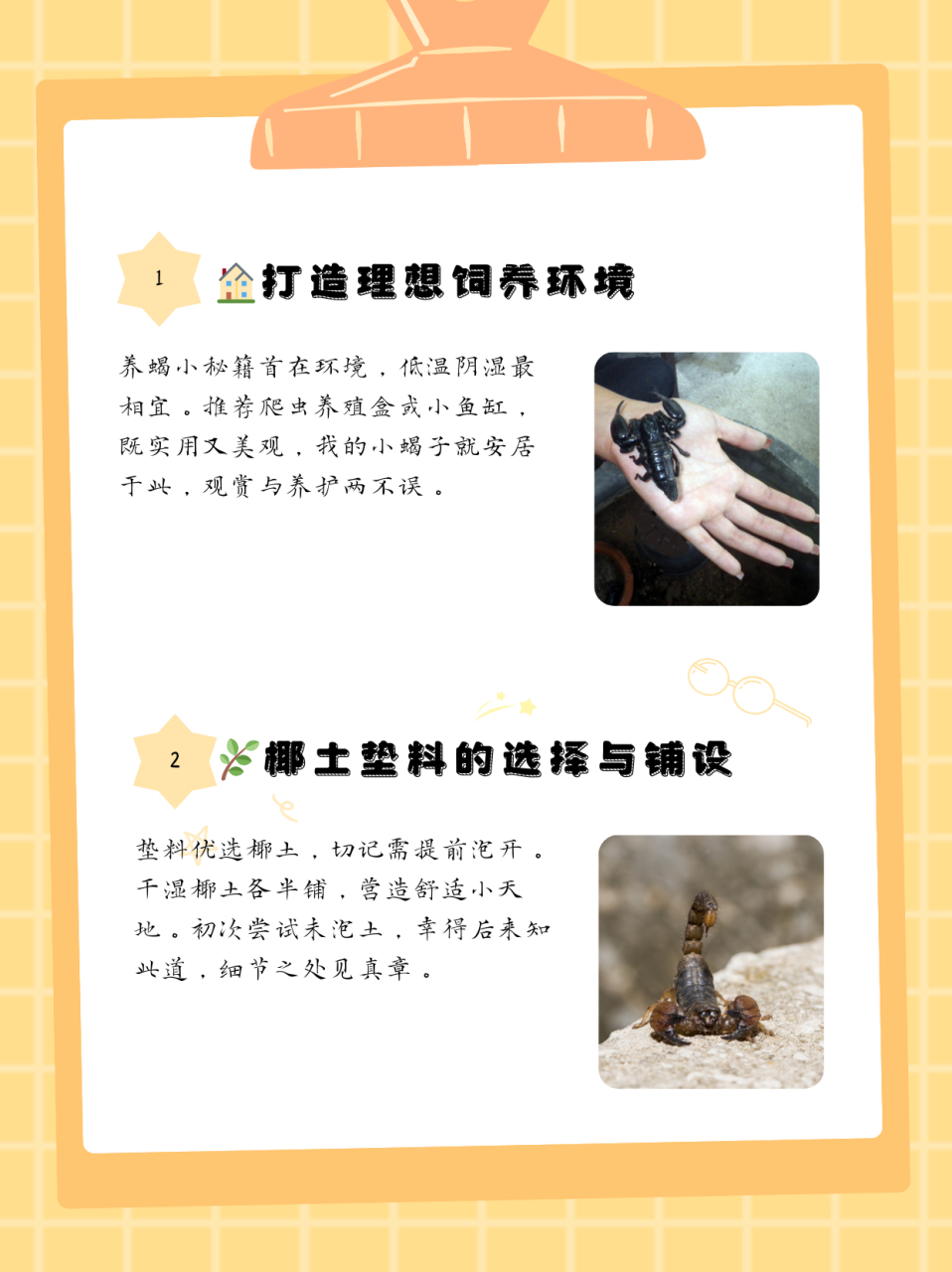 关于蝎子养殖技术(蝎子养殖技术完整版)