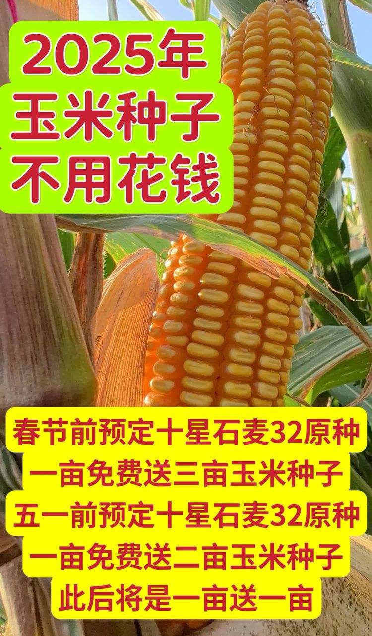 北方的玉米种子在南方能种吗(北方的玉米种子在南方能种吗视频)