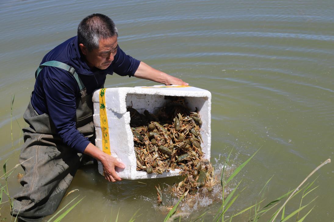 水产养殖怎么养(水产养殖养什么品种最好)
